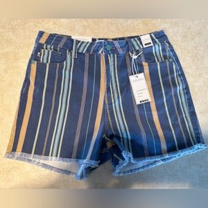 Judy Blue Shorts: Size XL